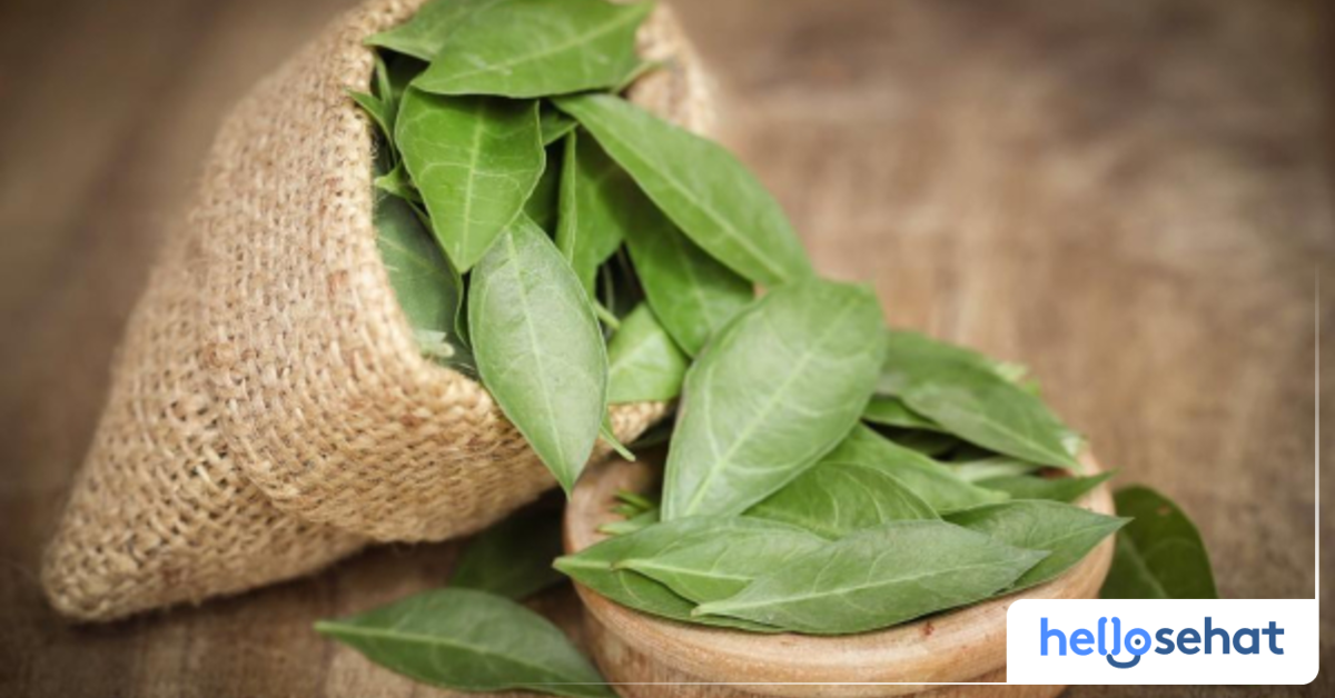 8 Manfaat Daun Pacar untuk Kesehatan dan Kecantikan - Hello Sehat